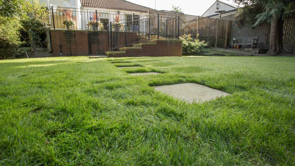 lawn-care