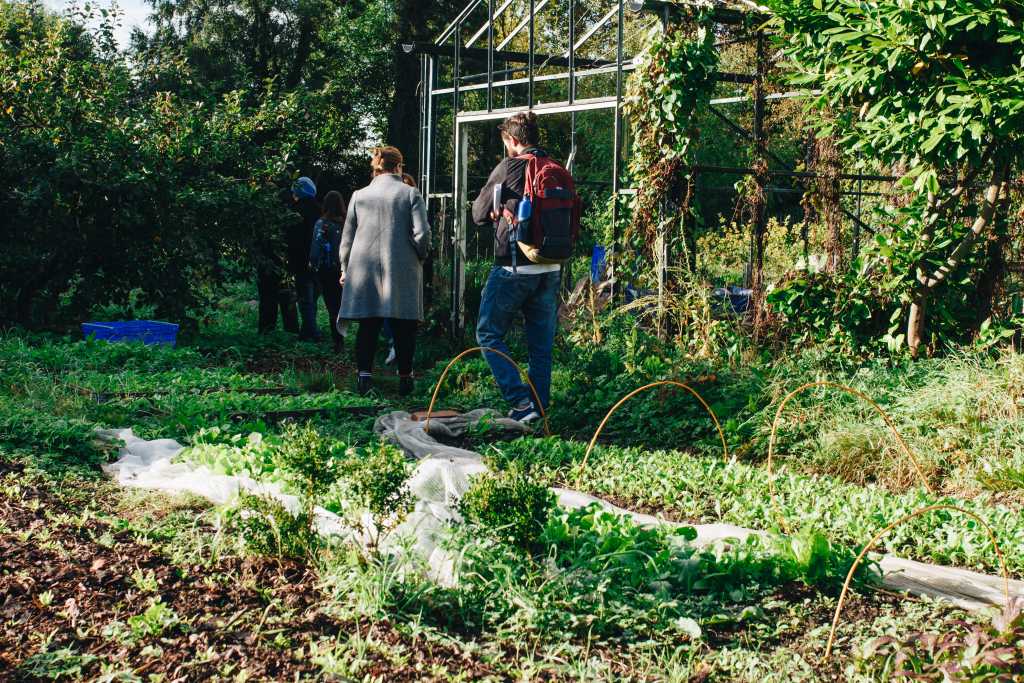 gardening & garden maintenance