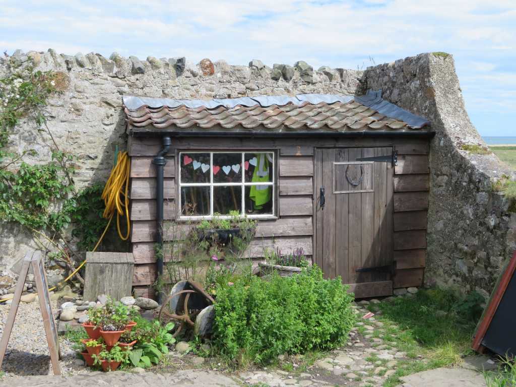 pretty garden shed near the ocean