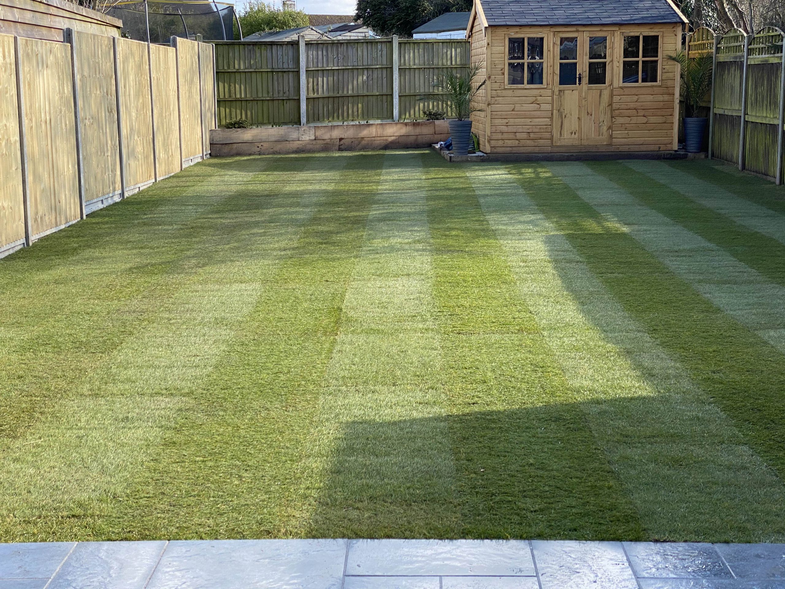 artificial grass in garden